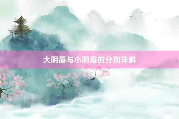 大阴唇与小阴唇的分别详解