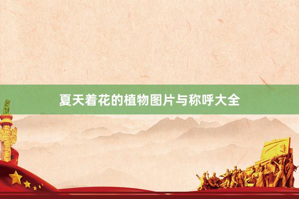 夏天着花的植物图片与称呼大全
